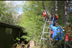 Skærmbillede 2019-06-06 kl. 15.14.08